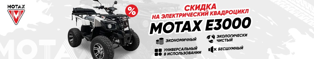 Экологически чистый, бесшумный и экономичный Motax Grizlik E3000