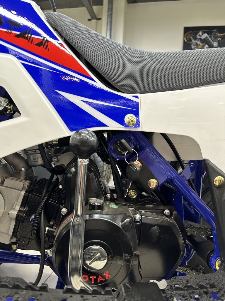 Квадроцикл Motax GRIZLIK A110