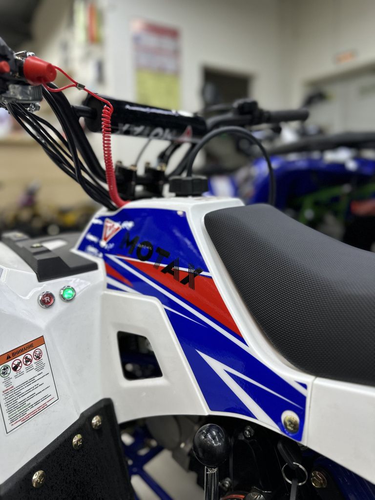 Квадроцикл Motax GRIZLIK A110
